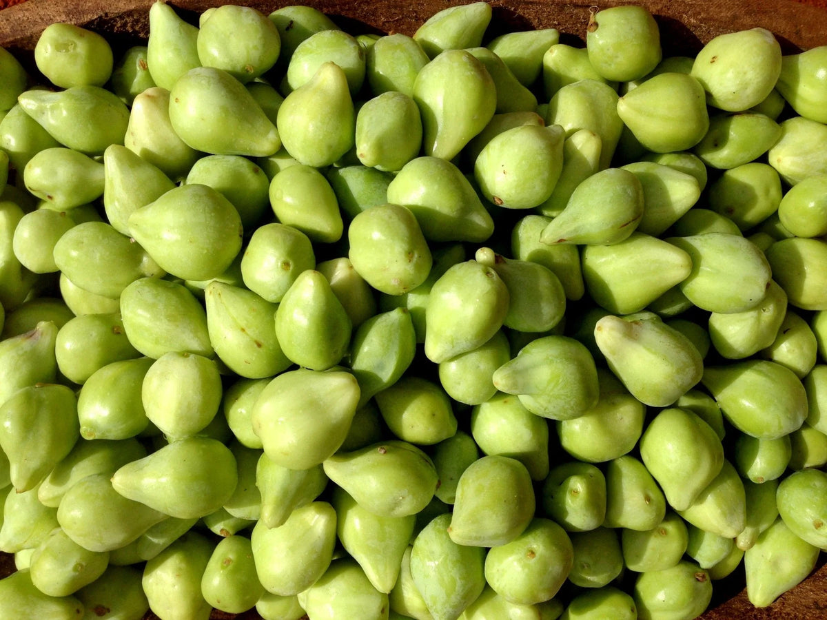 KAKADU PLUM